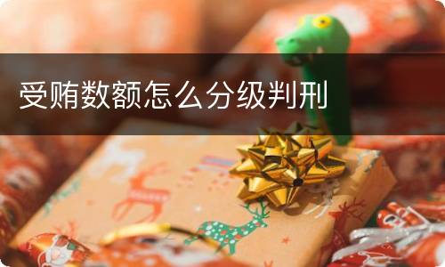 受贿数额怎么分级判刑
