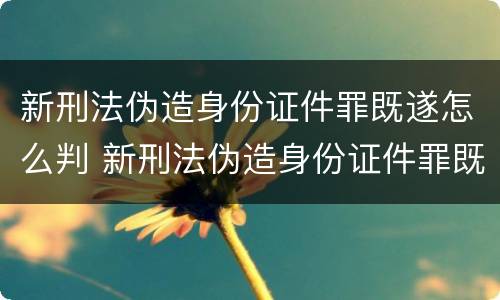 新刑法伪造身份证件罪既遂怎么判 新刑法伪造身份证件罪既遂怎么判定