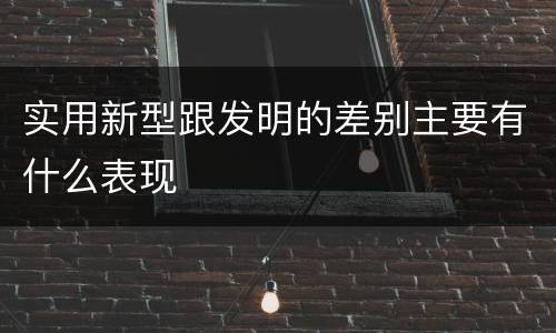 实用新型跟发明的差别主要有什么表现