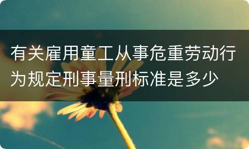 有关雇用童工从事危重劳动行为规定刑事量刑标准是多少