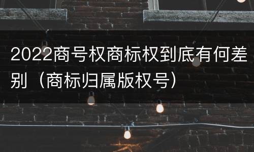 2022商号权商标权到底有何差别（商标归属版权号）
