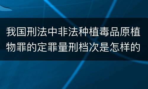 我国刑法中非法种植毒品原植物罪的定罪量刑档次是怎样的