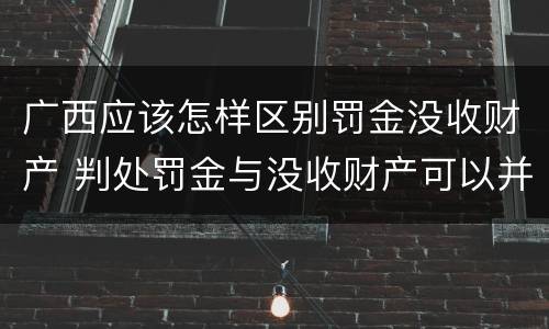 广西应该怎样区别罚金没收财产 判处罚金与没收财产可以并罚吗