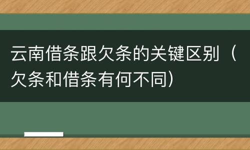 云南借条跟欠条的关键区别（欠条和借条有何不同）