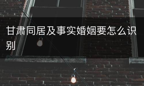 甘肃同居及事实婚姻要怎么识别