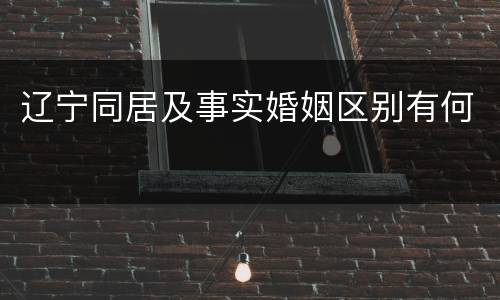 辽宁同居及事实婚姻区别有何