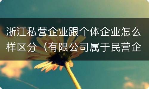 浙江私营企业跟个体企业怎么样区分（有限公司属于民营企业还是私企还是个体）