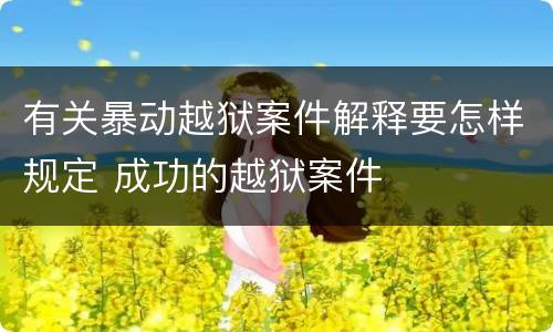 有关暴动越狱案件解释要怎样规定 成功的越狱案件