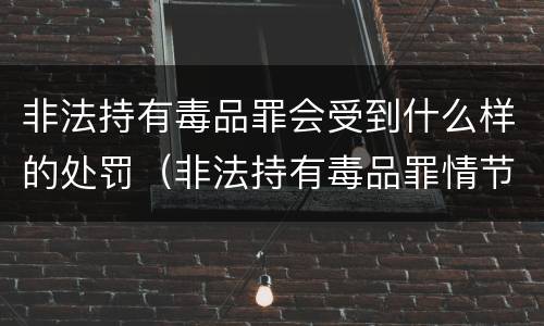 非法持有毒品罪会受到什么样的处罚（非法持有毒品罪情节严重）