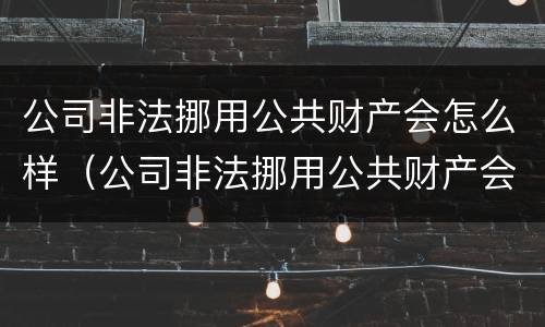 公司非法挪用公共财产会怎么样（公司非法挪用公共财产会怎么样呢）