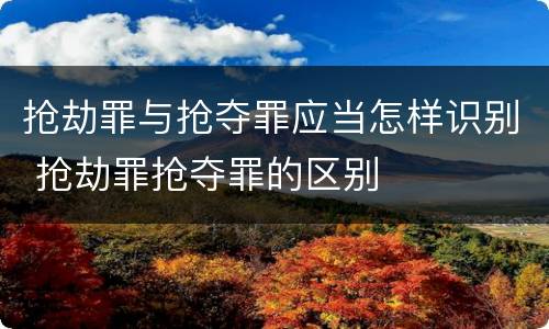 抢劫罪与抢夺罪应当怎样识别 抢劫罪抢夺罪的区别