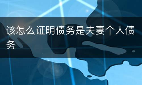 该怎么证明债务是夫妻个人债务