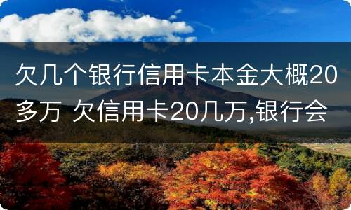 欠几个银行信用卡本金大概20多万 欠信用卡20几万,银行会怎么处理