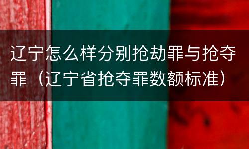 辽宁怎么样分别抢劫罪与抢夺罪(辽宁省抢夺罪数额标准)