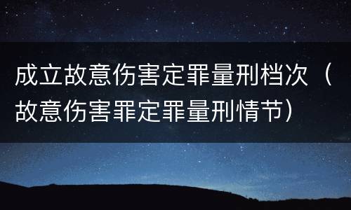 成立故意伤害定罪量刑档次（故意伤害罪定罪量刑情节）