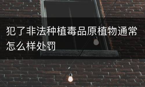 犯了非法种植毒品原植物通常怎么样处罚