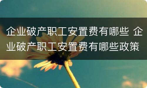 企业破产职工安置费有哪些 企业破产职工安置费有哪些政策