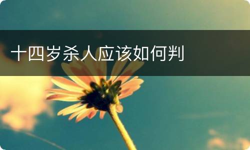十四岁杀人应该如何判