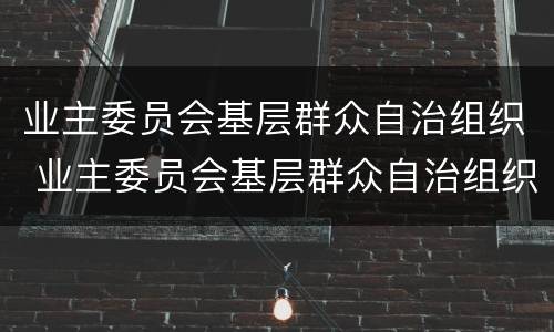 业主委员会基层群众自治组织 业主委员会基层群众自治组织的作用