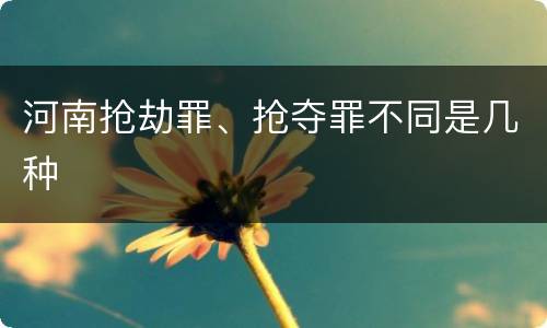 河南抢劫罪、抢夺罪不同是几种