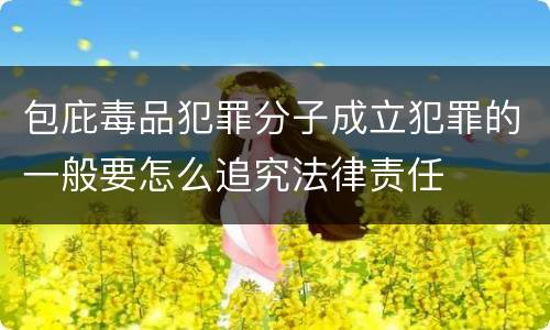 包庇毒品犯罪分子成立犯罪的一般要怎么追究法律责任