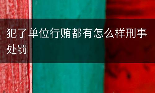 犯了单位行贿都有怎么样刑事处罚
