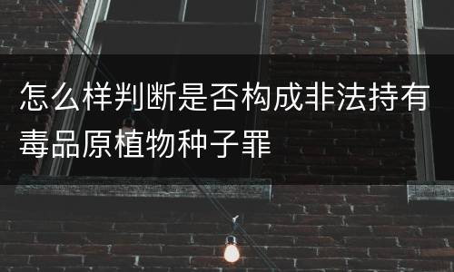 怎么样判断是否构成非法持有毒品原植物种子罪
