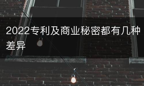 2022专利及商业秘密都有几种差异