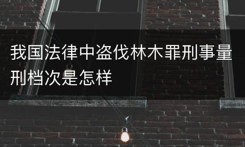 我国法律中盗伐林木罪刑事量刑档次是怎样