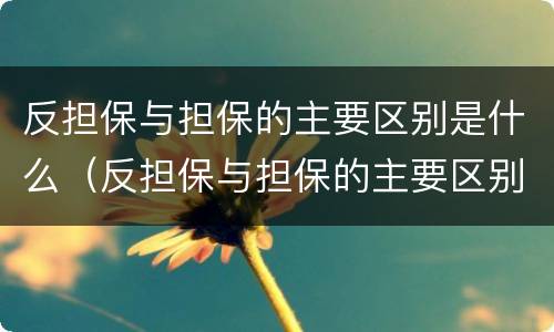 反担保与担保的主要区别是什么（反担保与担保的主要区别是什么意思）