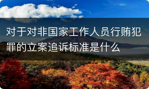 对于对非国家工作人员行贿犯罪的立案追诉标准是什么