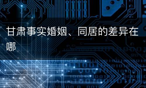 甘肃事实婚姻、同居的差异在哪