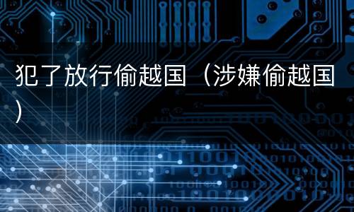 犯了放行偷越国（涉嫌偷越国）