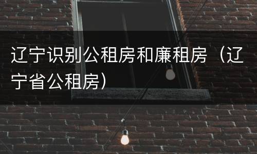 辽宁识别公租房和廉租房（辽宁省公租房）