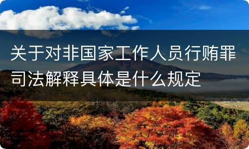 关于对非国家工作人员行贿罪司法解释具体是什么规定