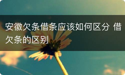 安徽欠条借条应该如何区分 借欠条的区别