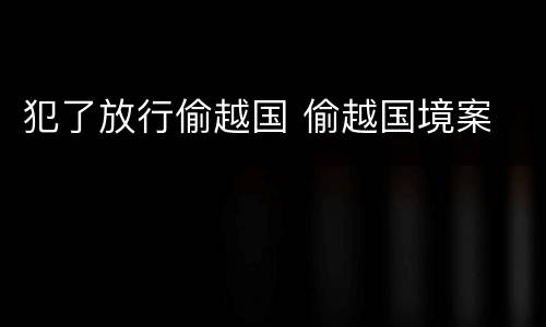 犯了放行偷越国 偷越国境案