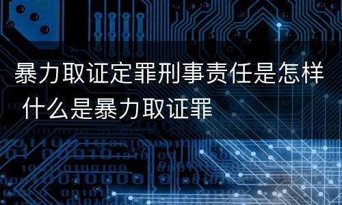 暴力取证定罪刑事责任是怎样 什么是暴力取证罪