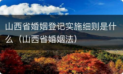 山西省婚姻登记实施细则是什么（山西省婚姻法）