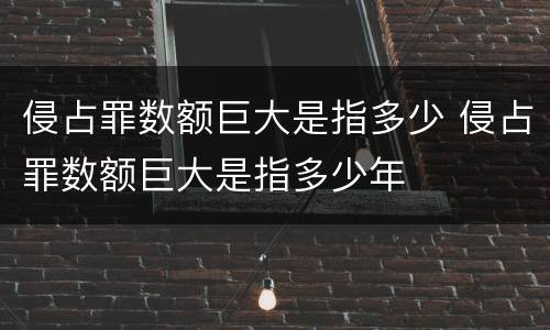 侵占罪数额巨大是指多少 侵占罪数额巨大是指多少年
