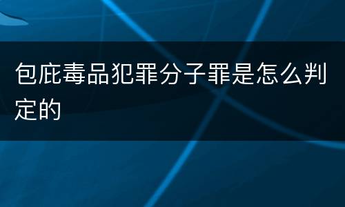 包庇毒品犯罪分子罪是怎么判定的