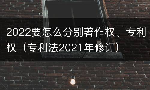 2022要怎么分别著作权、专利权（专利法2021年修订）