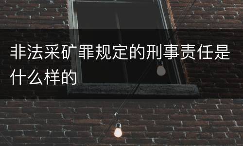 非法采矿罪规定的刑事责任是什么样的