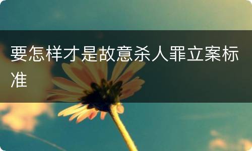 要怎样才是故意杀人罪立案标准