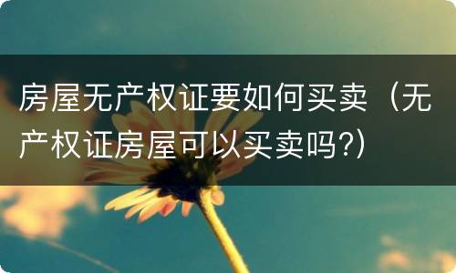 房屋无产权证要如何买卖（无产权证房屋可以买卖吗?）