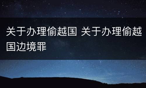 关于办理偷越国 关于办理偷越国边境罪