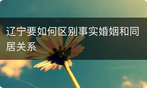 辽宁要如何区别事实婚姻和同居关系