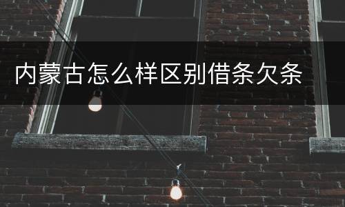 内蒙古怎么样区别借条欠条