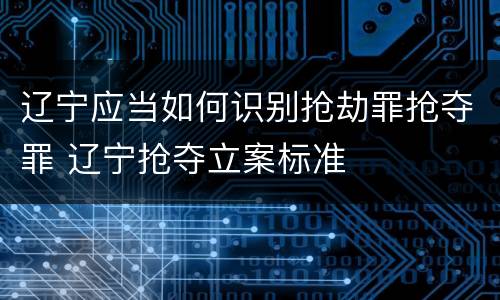 辽宁应当如何识别抢劫罪抢夺罪 辽宁抢夺立案标准