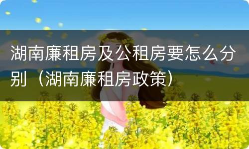湖南廉租房及公租房要怎么分别（湖南廉租房政策）